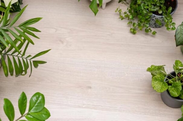 gallery-cr4.jpg gallery-cr4.jpg