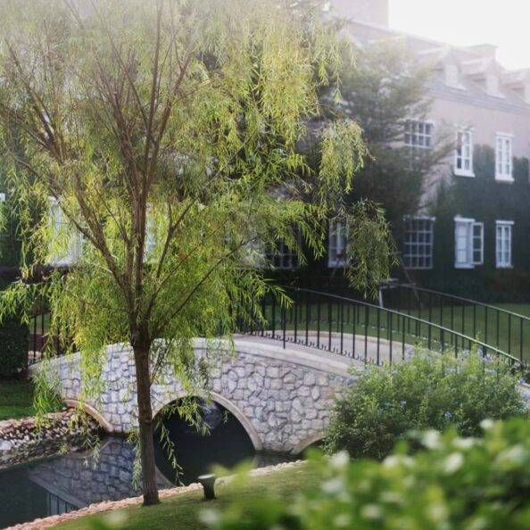 project-sg4.jpg project-sg4.jpg