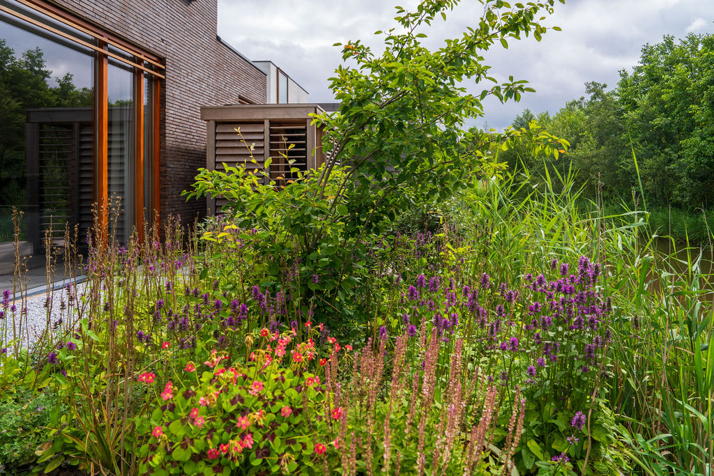 Beplanting in verschillende kleuren in een verzorgde tuin