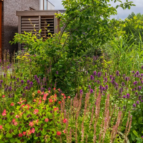 Hoveniers Collectief - Beplanting, border met weelderige planten Weelderige beplanting in een tuinborder