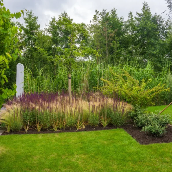 Hoveniers Collectief - Onderhoud, schoffelen en verwijderen onkruid Man onderhoudt tuin door te schoffelen en onkruid te verwijderen